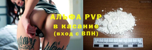 дмт Богданович