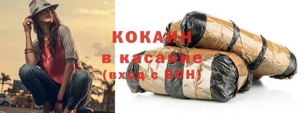 дмт Богданович