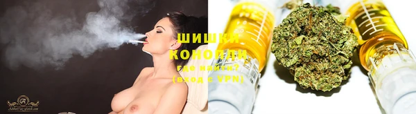 дмт Богданович