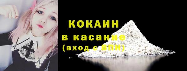 дмт Богданович