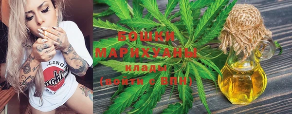 дмт Богданович