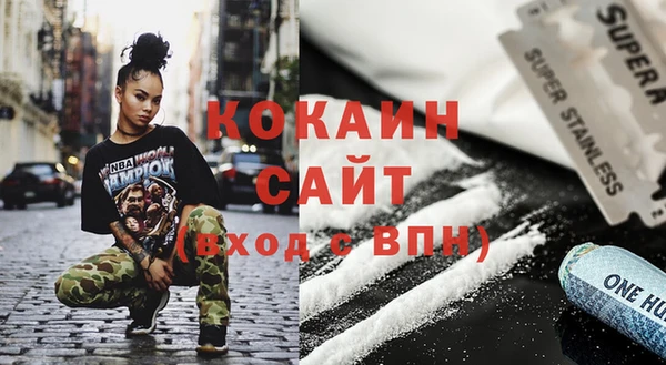 дмт Богданович