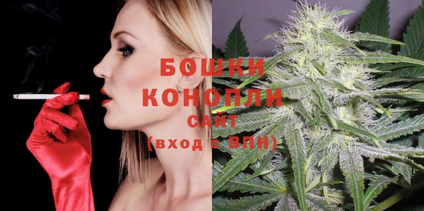 дмт Богданович