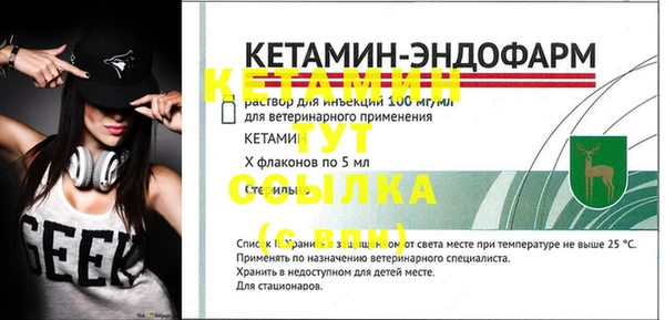 дмт Богданович