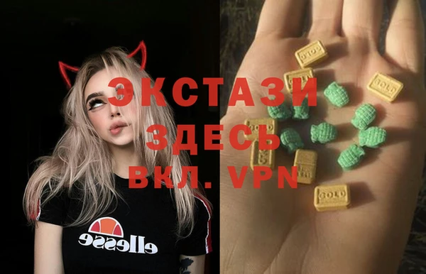 дмт Богданович